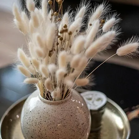 Awesome Apartamento *